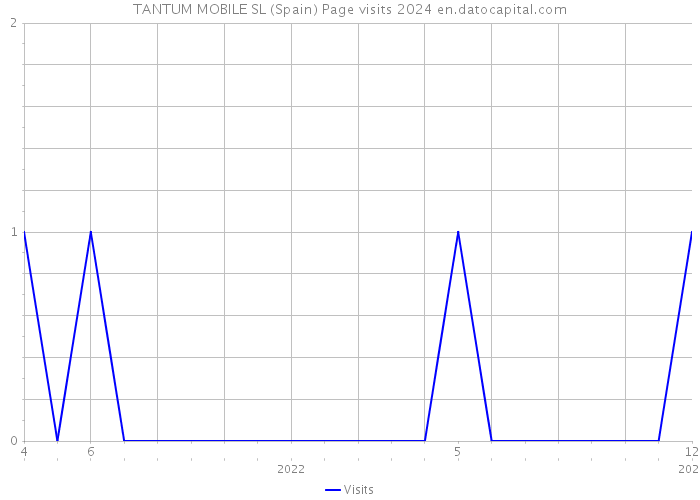 TANTUM MOBILE SL (Spain) Page visits 2024 
