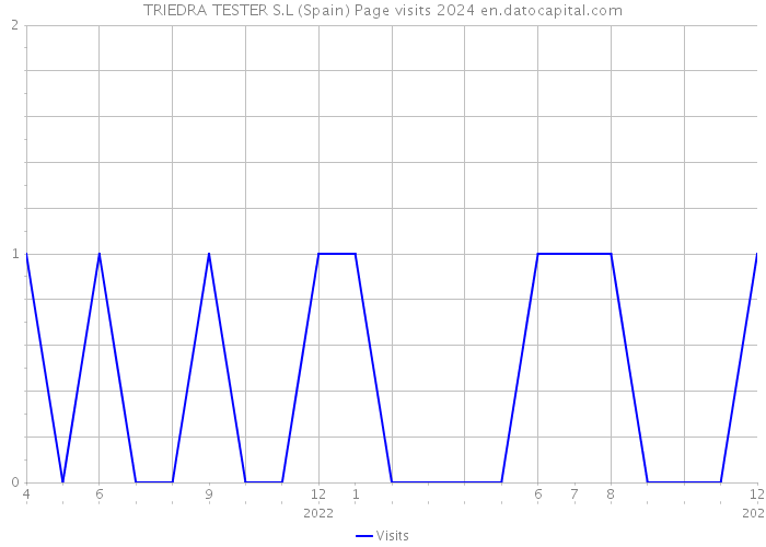 TRIEDRA TESTER S.L (Spain) Page visits 2024 