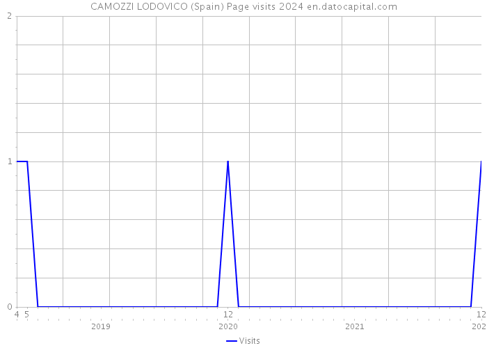 CAMOZZI LODOVICO (Spain) Page visits 2024 