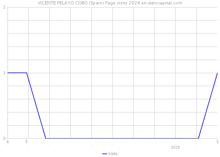 VICENTE PELAYO COBO (Spain) Page visits 2024 
