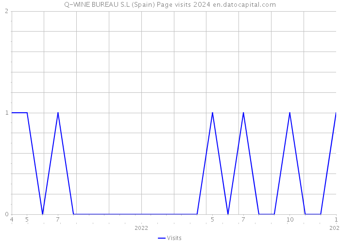 Q-WINE BUREAU S.L (Spain) Page visits 2024 