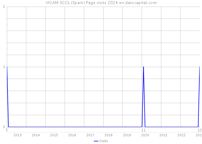 VICAM SCCL (Spain) Page visits 2024 