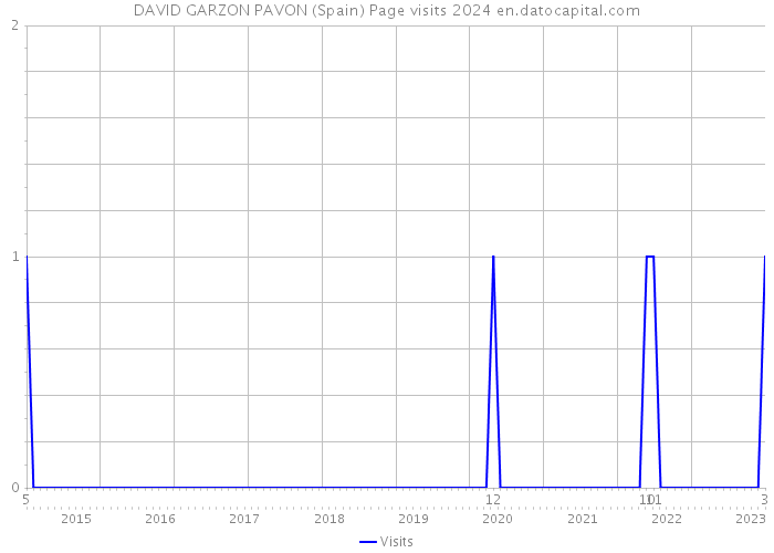 DAVID GARZON PAVON (Spain) Page visits 2024 