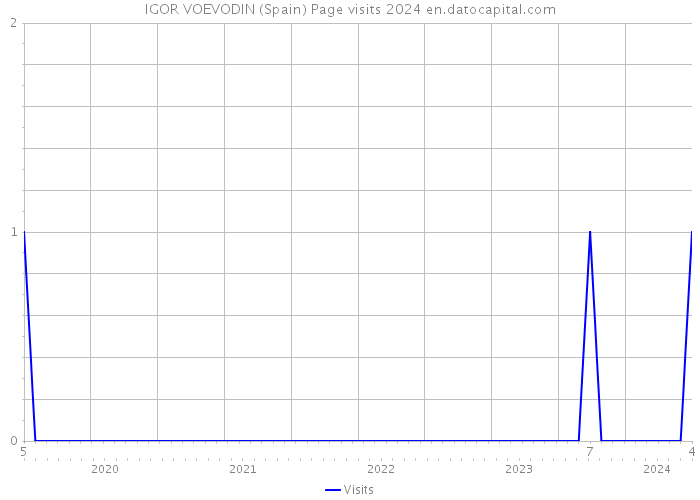 IGOR VOEVODIN (Spain) Page visits 2024 