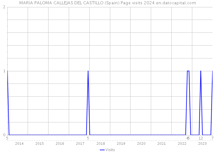 MARIA PALOMA CALLEJAS DEL CASTILLO (Spain) Page visits 2024 