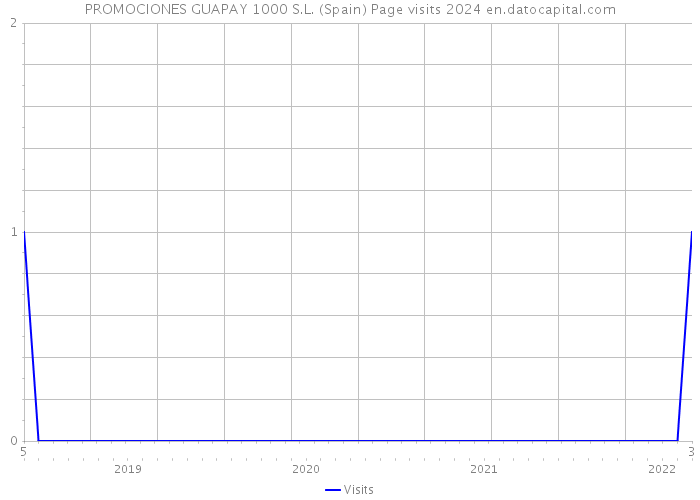 PROMOCIONES GUAPAY 1000 S.L. (Spain) Page visits 2024 