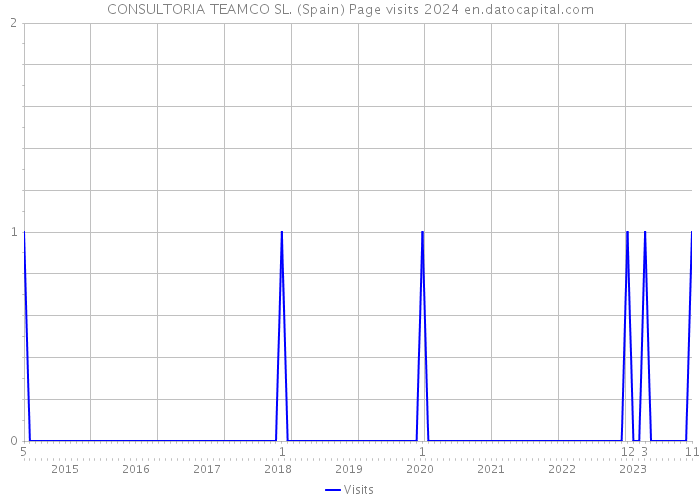 CONSULTORIA TEAMCO SL. (Spain) Page visits 2024 
