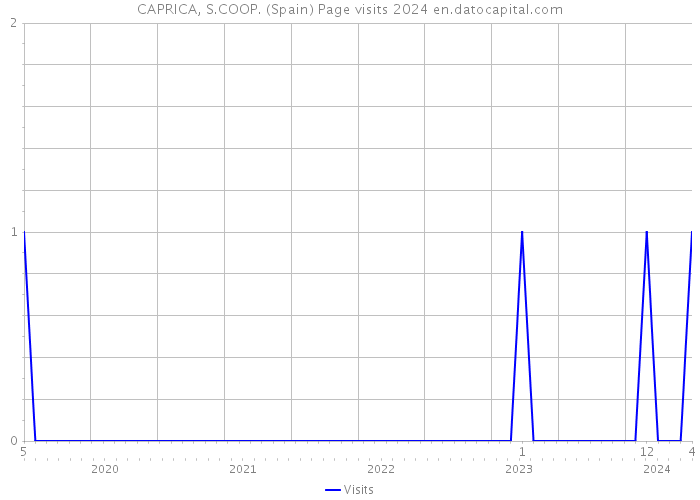 CAPRICA, S.COOP. (Spain) Page visits 2024 
