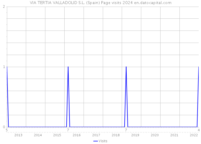VIA TERTIA VALLADOLID S.L. (Spain) Page visits 2024 
