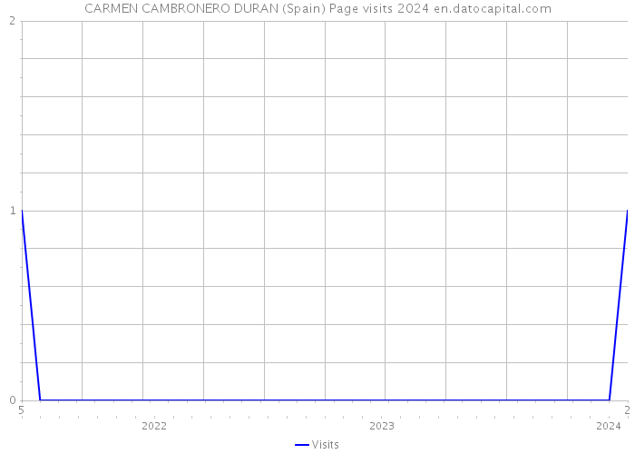 CARMEN CAMBRONERO DURAN (Spain) Page visits 2024 