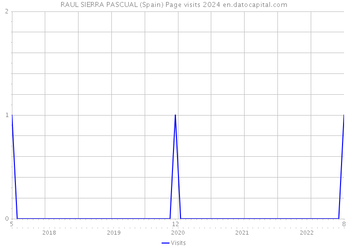 RAUL SIERRA PASCUAL (Spain) Page visits 2024 