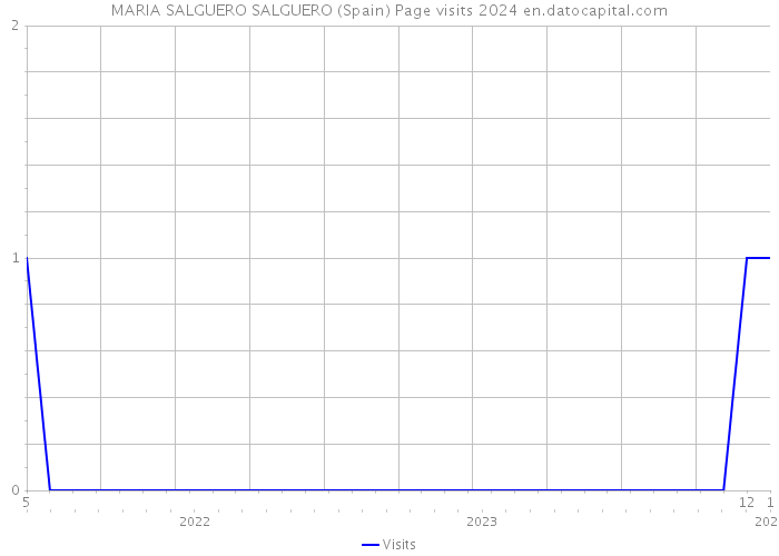 MARIA SALGUERO SALGUERO (Spain) Page visits 2024 
