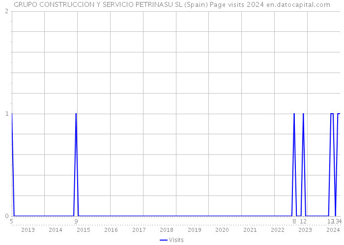 GRUPO CONSTRUCCION Y SERVICIO PETRINASU SL (Spain) Page visits 2024 
