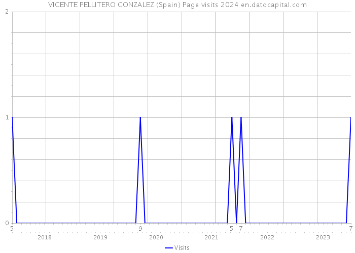VICENTE PELLITERO GONZALEZ (Spain) Page visits 2024 