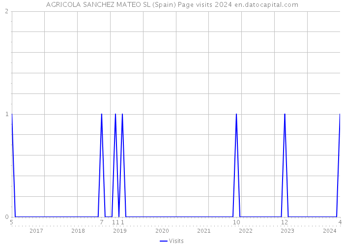 AGRICOLA SANCHEZ MATEO SL (Spain) Page visits 2024 