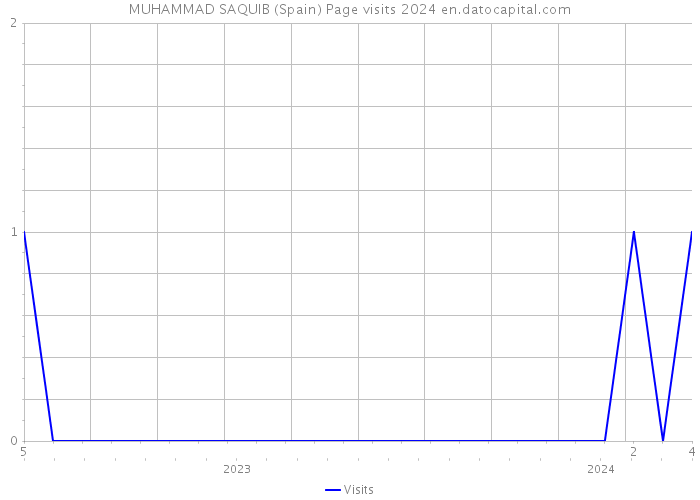 MUHAMMAD SAQUIB (Spain) Page visits 2024 