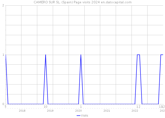 CAMERO SUR SL. (Spain) Page visits 2024 