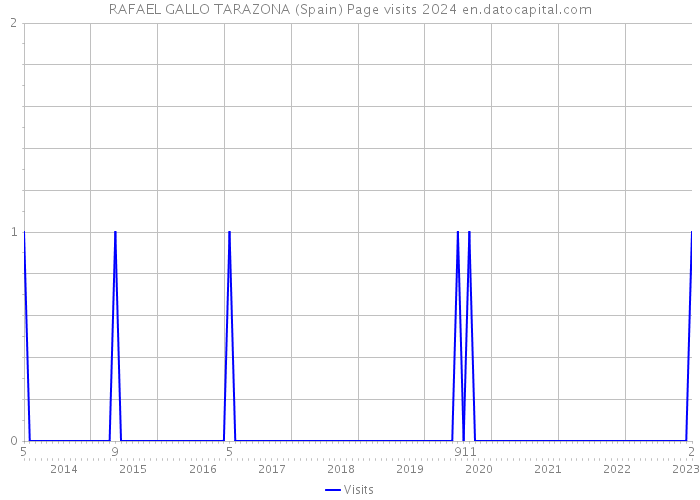 RAFAEL GALLO TARAZONA (Spain) Page visits 2024 