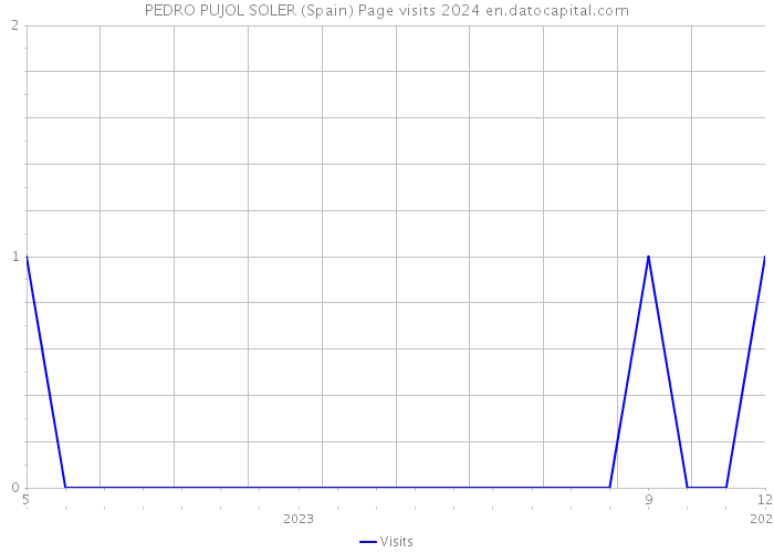 PEDRO PUJOL SOLER (Spain) Page visits 2024 