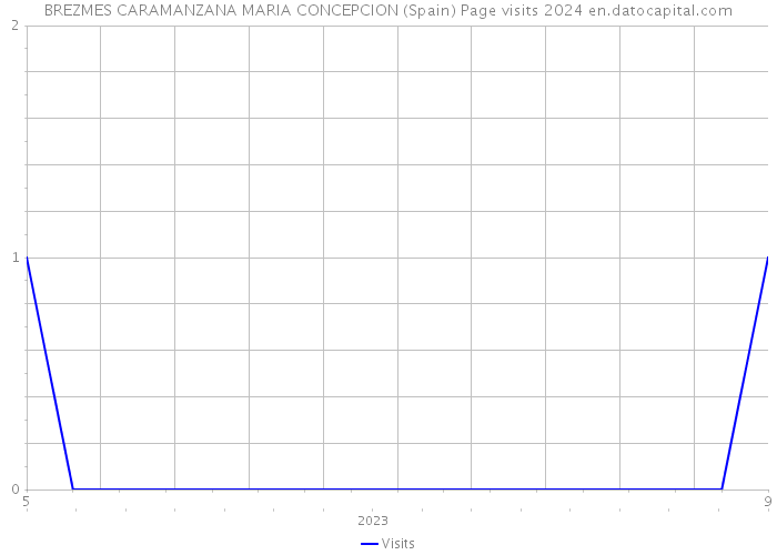 BREZMES CARAMANZANA MARIA CONCEPCION (Spain) Page visits 2024 