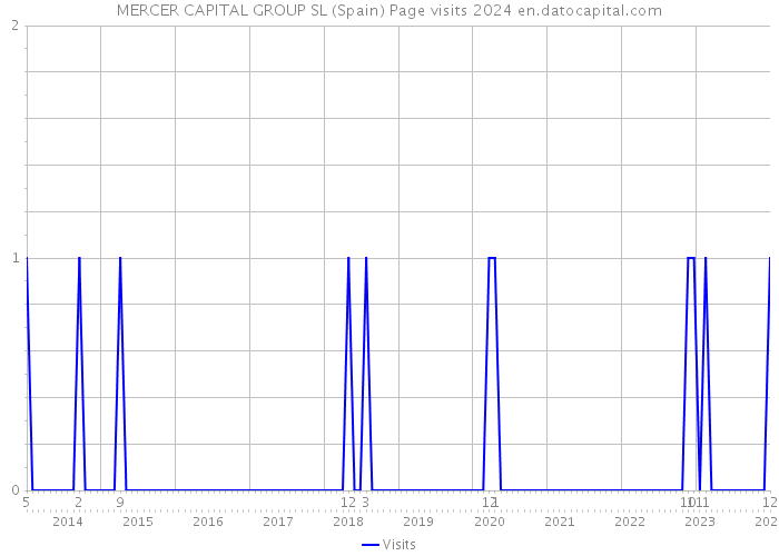 MERCER CAPITAL GROUP SL (Spain) Page visits 2024 