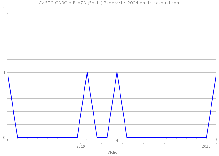 CASTO GARCIA PLAZA (Spain) Page visits 2024 