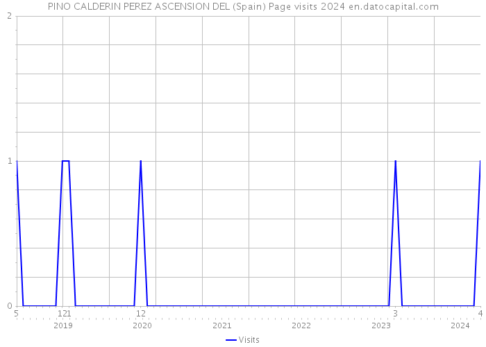 PINO CALDERIN PEREZ ASCENSION DEL (Spain) Page visits 2024 