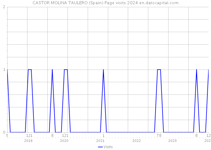CASTOR MOLINA TAULERO (Spain) Page visits 2024 
