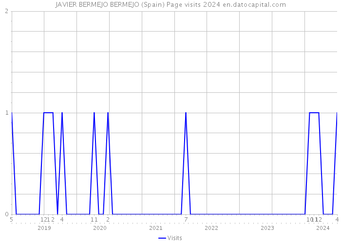 JAVIER BERMEJO BERMEJO (Spain) Page visits 2024 