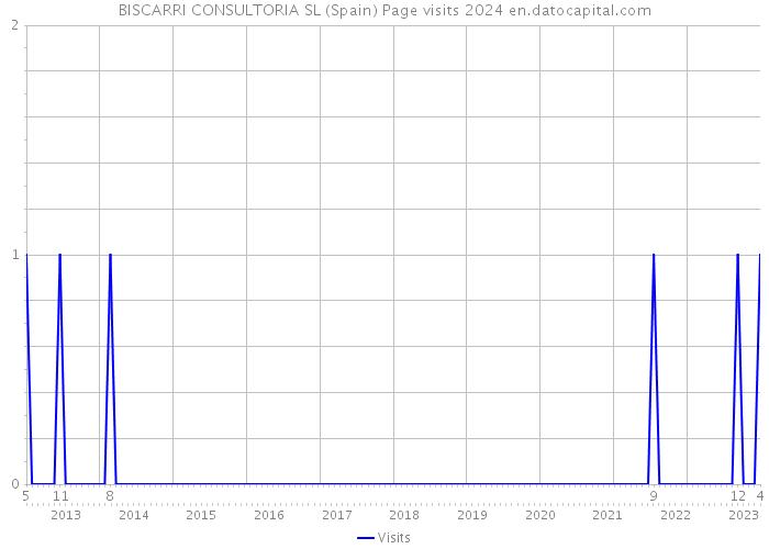 BISCARRI CONSULTORIA SL (Spain) Page visits 2024 