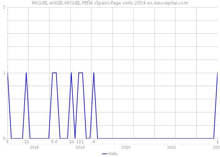 MIGUEL ANGEL MIGUEL PEÑA (Spain) Page visits 2024 
