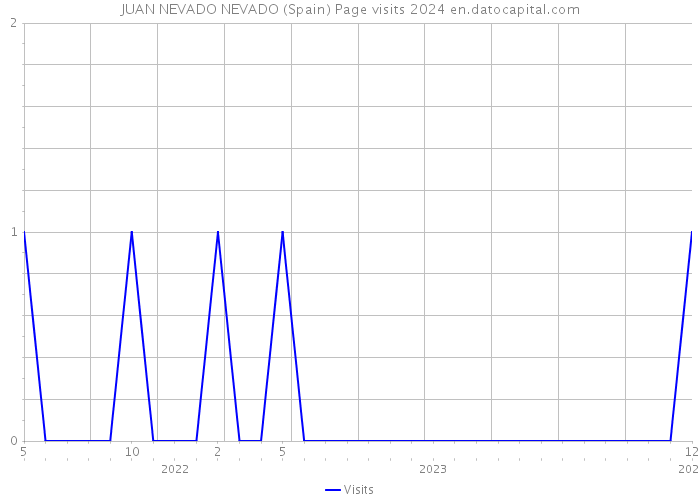 JUAN NEVADO NEVADO (Spain) Page visits 2024 