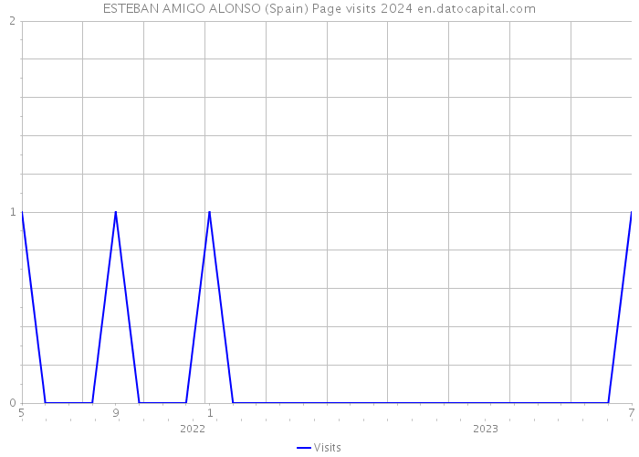 ESTEBAN AMIGO ALONSO (Spain) Page visits 2024 