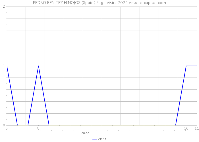 PEDRO BENITEZ HINOJOS (Spain) Page visits 2024 