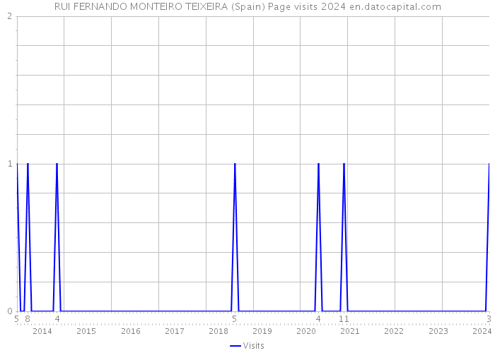 RUI FERNANDO MONTEIRO TEIXEIRA (Spain) Page visits 2024 