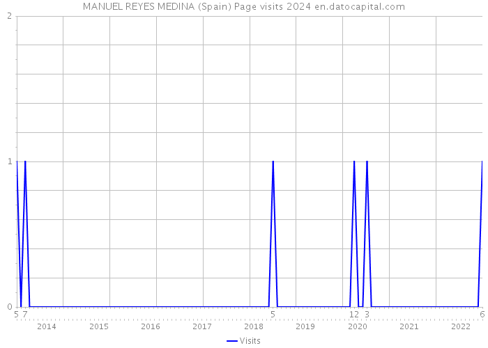 MANUEL REYES MEDINA (Spain) Page visits 2024 