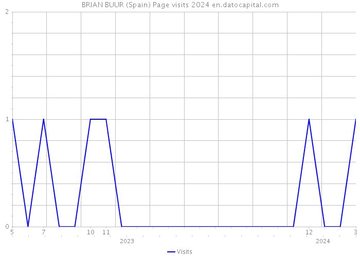 BRIAN BUUR (Spain) Page visits 2024 