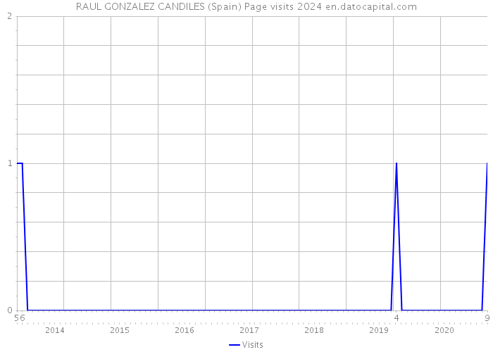 RAUL GONZALEZ CANDILES (Spain) Page visits 2024 
