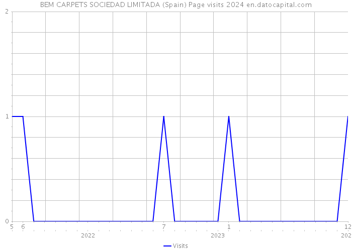 BEM CARPETS SOCIEDAD LIMITADA (Spain) Page visits 2024 
