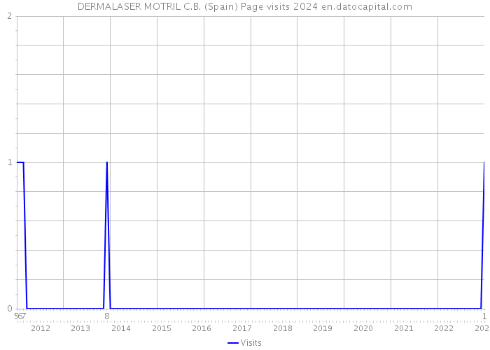 DERMALASER MOTRIL C.B. (Spain) Page visits 2024 