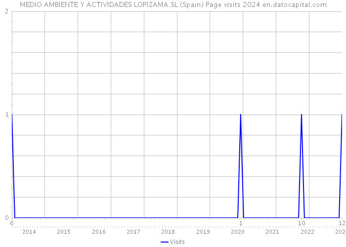 MEDIO AMBIENTE Y ACTIVIDADES LOPIZAMA SL (Spain) Page visits 2024 