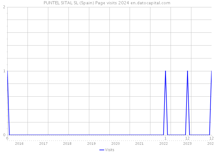 PUNTEL SITAL SL (Spain) Page visits 2024 