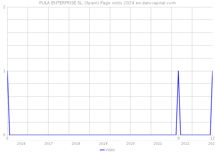 PULA ENTERPRISE SL. (Spain) Page visits 2024 