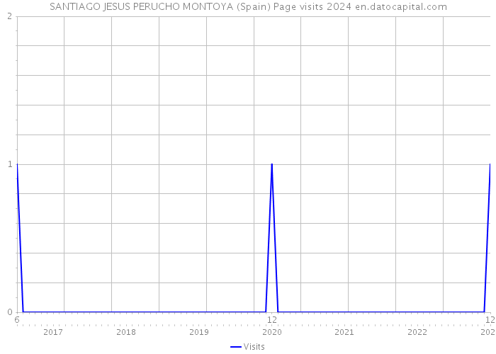 SANTIAGO JESUS PERUCHO MONTOYA (Spain) Page visits 2024 