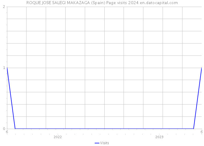 ROQUE JOSE SALEGI MAKAZAGA (Spain) Page visits 2024 