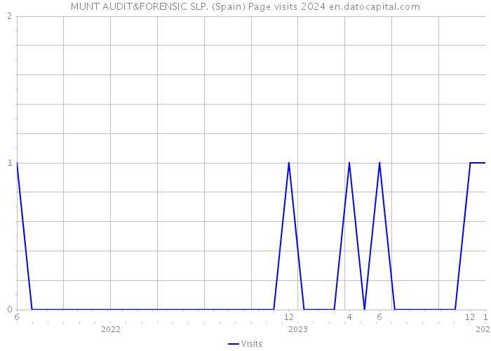 MUNT AUDIT&FORENSIC SLP. (Spain) Page visits 2024 