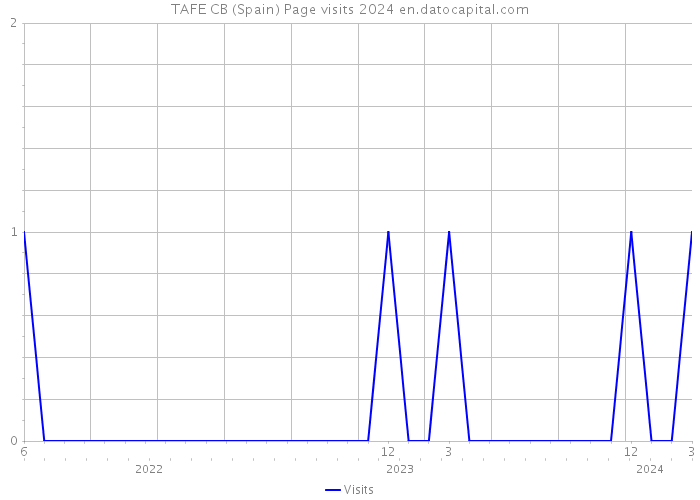 TAFE CB (Spain) Page visits 2024 