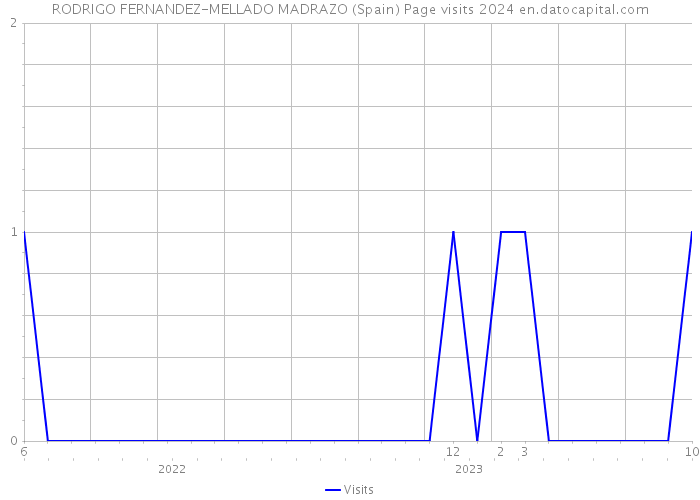 RODRIGO FERNANDEZ-MELLADO MADRAZO (Spain) Page visits 2024 