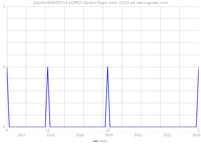 JULIAN MONTOYA LOPEZ (Spain) Page visits 2024 