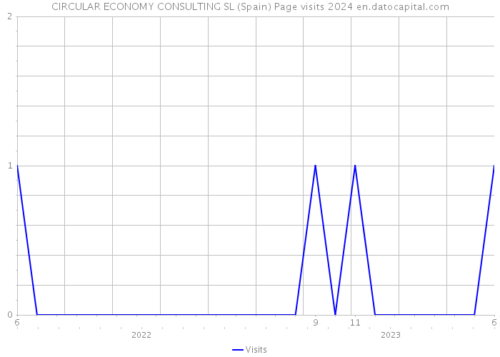 CIRCULAR ECONOMY CONSULTING SL (Spain) Page visits 2024 